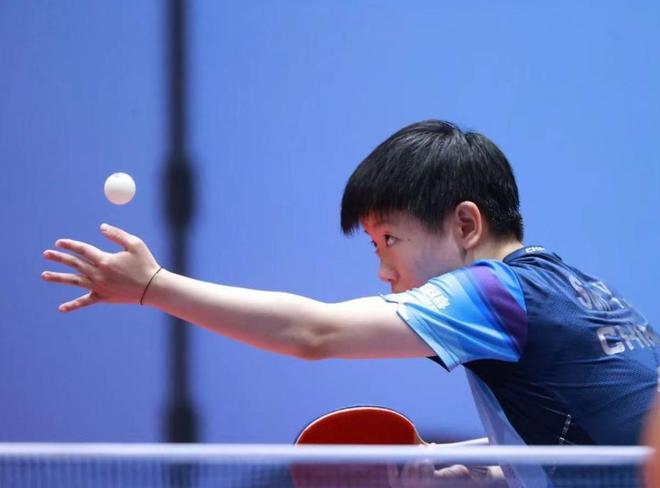 分占一半 分占一半